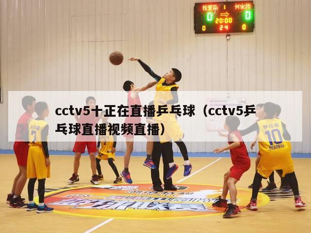 cctv5十正在直播乒乓球（cctv5乒乓球直播视频直播）